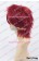 Kuroko No Basuke Cosplay Seijuro Akashi Wig 30CM Takuma Onizaki Senri Shiki Wig Dark Red Universal Layered Short