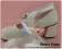White Long Satin Strap Chunky Princess Lolita Shoes