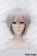 Touken Ranbu Hotarumaru Cosplay Wig