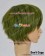 Free Iwatobi Swim Club Cosplay Makoto Tachibana Wig