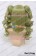 Wig Lolita Cosplay Curly Clip On Double Ponytails Golden Green