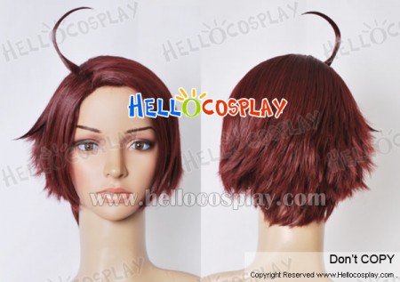 Axis Powers Hetalia APH Austria Cosplay Wig