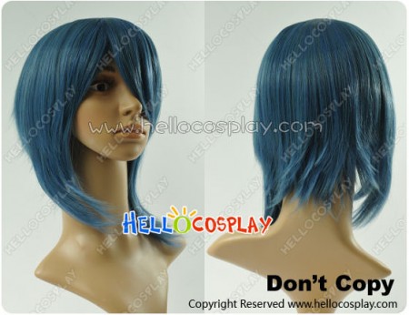 Madoka Magica Miki Sayaka Cosplay Wig