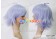 Inazuma Eleven Cosplay Hubuki Shirou Wig