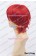 Vocaloid Cosplay Akaito Wig 30CM Red Ordinary Universal Short Layered