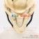 Overwatch Cosplay Reaper Mask Prop