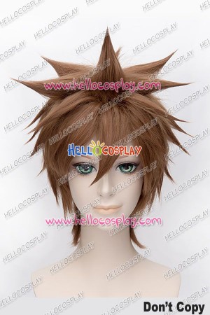 Katekyou Hitman Reborn Tsunayoshi Sawada Cosplay Wig