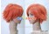 Ouran High School Host Club Cosplay Hikaru  Kaoru Hitachiin Wig