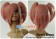 Puella Magi Madoka Magica Madoka Kaname Wig