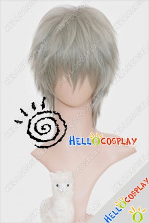 Unlight Cosplay Salgado Grey Wig