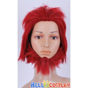 Fate Zero Rider Cosplay Wig