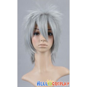 Silver Grey Cosplay Short Layered Wig