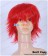 Kuroko's Basketball Cosplay Seijuro Akashi Wig