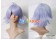 Inazuma Eleven Cosplay Hubuki Shirou Wig