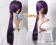 Hakuouki Shinsengumi Kitan Cosplay Saitou Hajime Wig