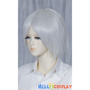 Silver Grey Short Cosplay Wig