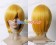 Vampire Knight Cosplay Touya Rima Wig