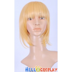 Fate Zero Saber Cosplay Wig