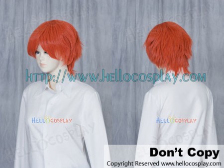 Reddish Brown Cosplay Short Layer Wig