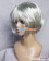 Vampire Knight Zero Kiryu Cosplay Wig