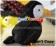 Hetalia Axis Powers Cosplay Iceland Puffin Plush Doll