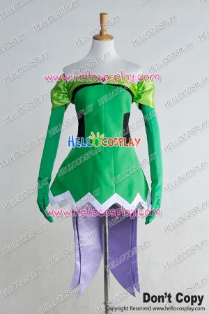 Fairy Tail Cosplay Evergreen Costume 