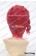 JoJo's Bizarre Adventure Cosplay Noriaki Kakyoin Wig Curly Short Red