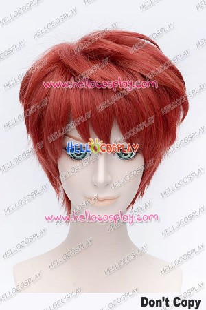 Fate Stay Night Shirou Emiya Cosplay Wig